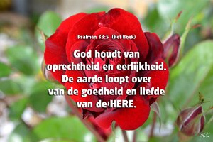 Ps033005-Boek