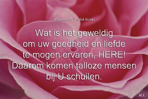 Ps036007-Boek