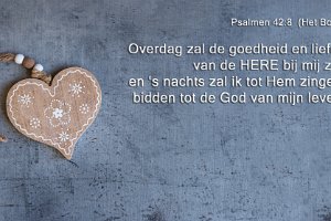 Ps042008-Boek