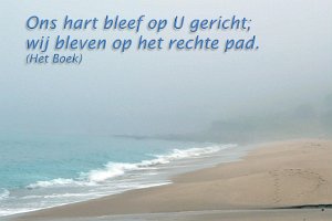 Ps044018-Boek