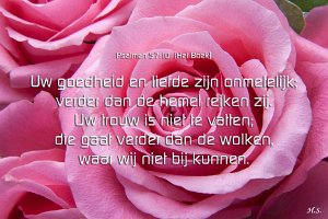 Ps057010-Boek-01