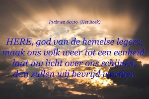 Ps080019-Boek