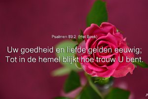 Ps089002-Boek