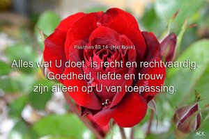 Ps089014-Boek