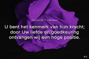 Ps089017-Boek