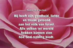 Ps098003-Boek