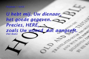 Ps119065-Boek