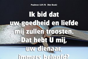 Ps119076-Boek