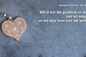 Ps119124-Boek