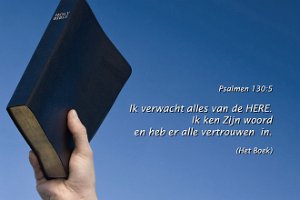 Ps130005-Boek