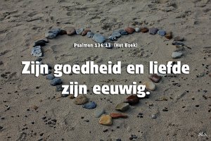 Ps136013-Boek