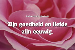 Ps136014-Boek