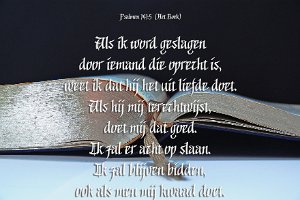 Ps141005-Boek