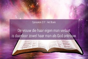 Spr 0217-Boek