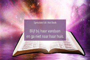 Spr 0508-Boek