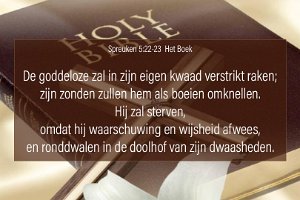 Spr 0522-Boek-01