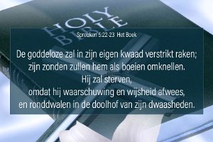 Spr 0523-Boek-01