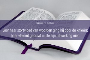 Spr 0721-Boek