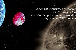 Joel0231-Boek