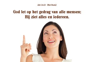 Job 3421-Boek