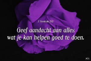 2Tim0222-Ned