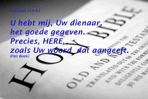 Ps119065-Boek