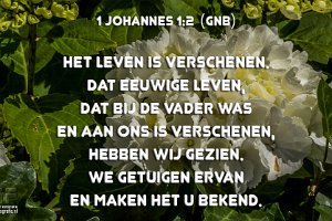 1Joh0102-GNB