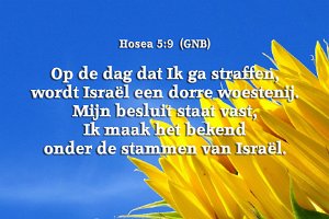 Hos 0509-GNB