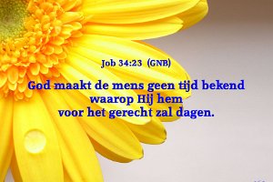 Job 3423-GNB