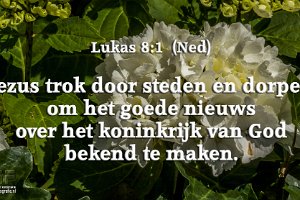 Luk 0801-Ned