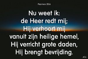 Ps020006-Ned