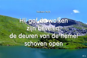 Ps078023-Ned