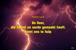 Ps124008-Ned