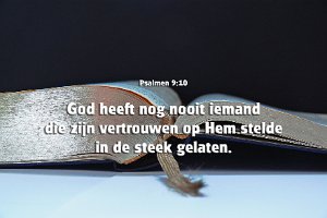Ps009010-Ned