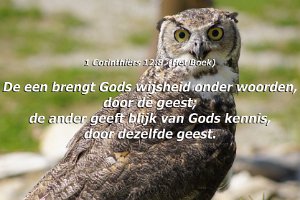 1Cor1208-Boek