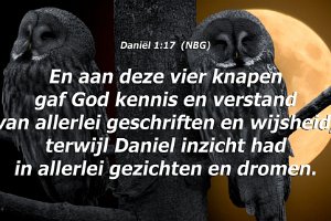 Dan 0117-NBG