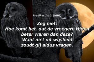 Pred0710-NBG