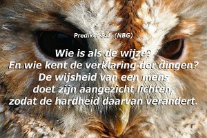 Pred0801-NBG